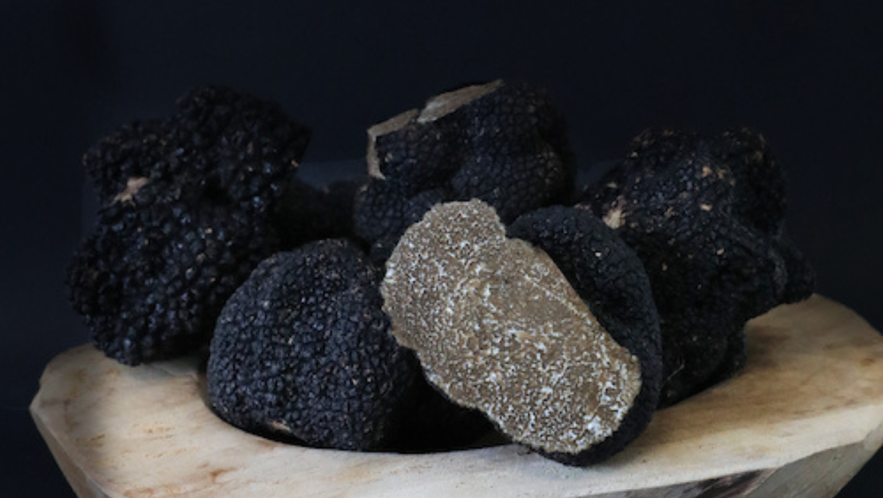 Les Truffes d’Aléna